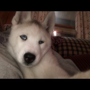 Meet your Posher, Cindy